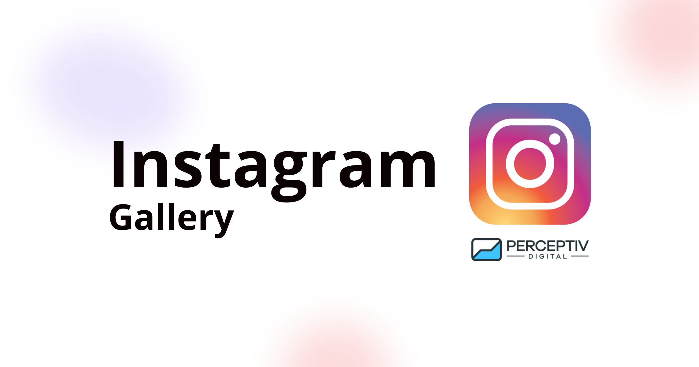 Instagram Gallery